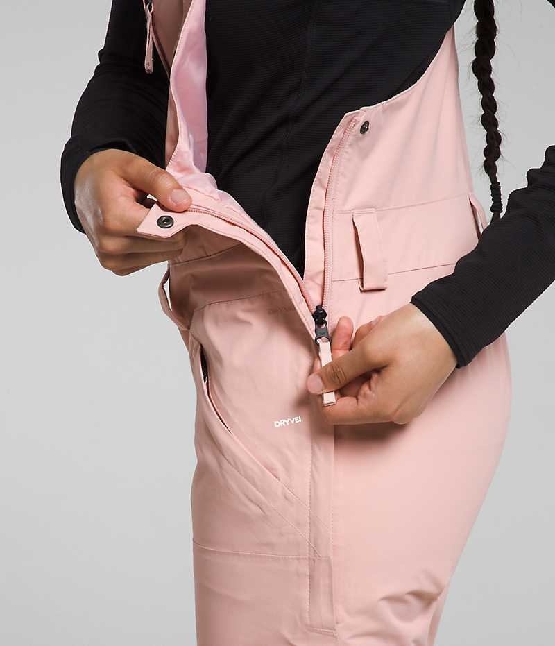 Women's The North Face Freedom Bib Pants Pink | TORONTO SYWFOR