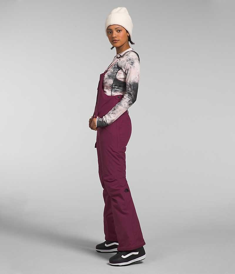 Women's The North Face Freedom Insulated Bib Pants Burgundy | OTTAWA JZCYVK