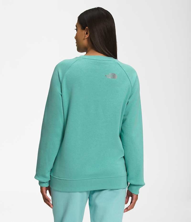 Women's The North Face Graphic Injection Crew Pullover Turquoise | CANADA DLXWBH