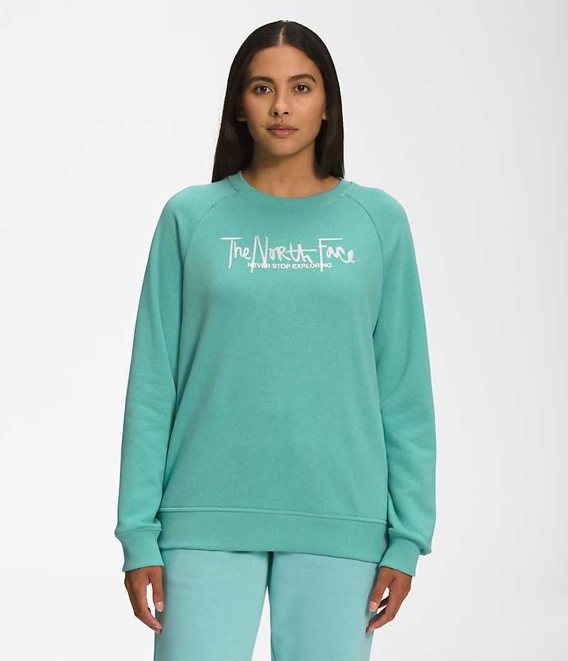 Women\'s The North Face Graphic Injection Crew Pullover Turquoise | CANADA DLXWBH