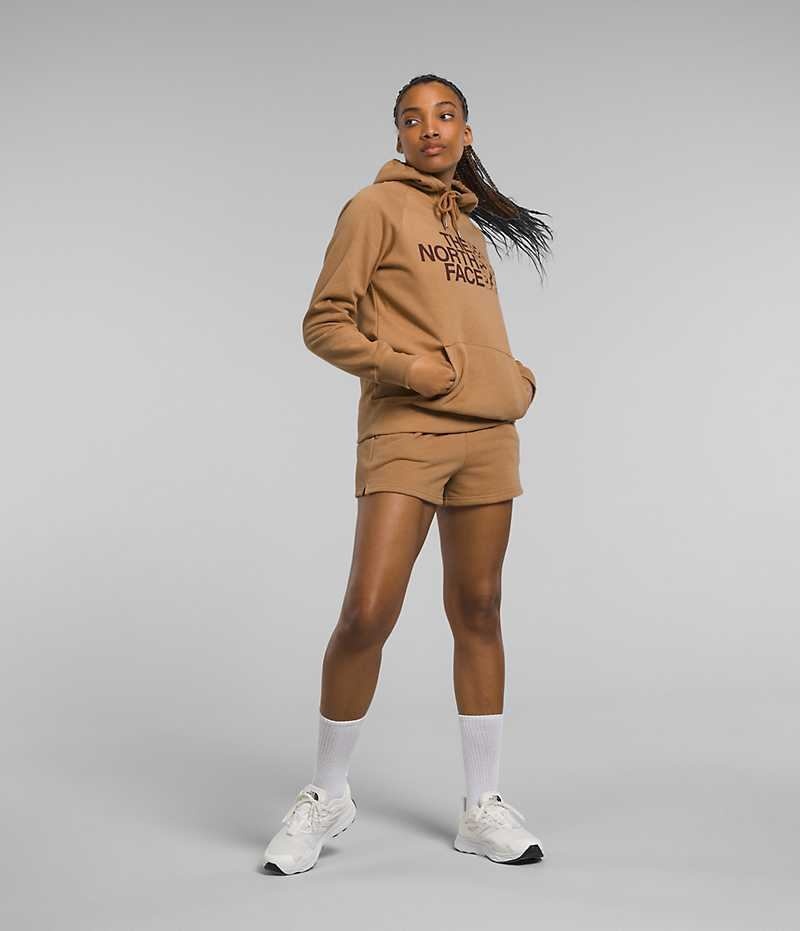 Women's The North Face Half Dome Pullover Hoodie Brown | TORONTO VISGUJ