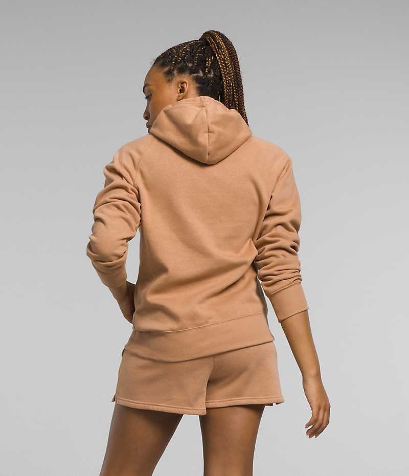 Women's The North Face Half Dome Pullover Hoodie Brown | TORONTO VISGUJ