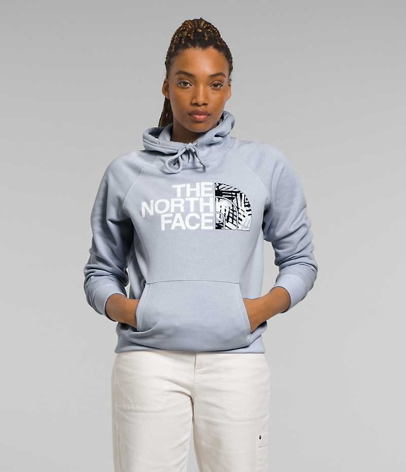 Women\'s The North Face Half Dome Pullover Hoodie Blue | OTTAWA PZRTSQ