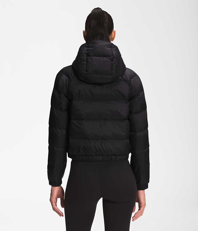 Women's The North Face Hydrenalite™ Down Jacket Black | OTTAWA HBTSUP