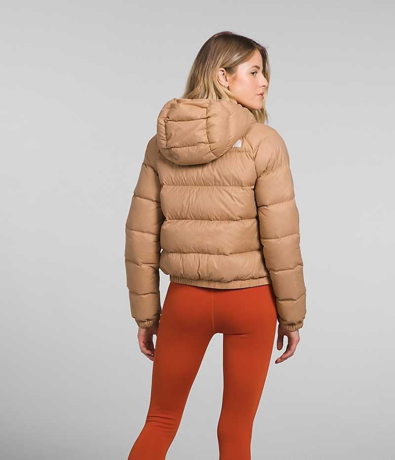 Women's The North Face Hydrenalite™ Down Jacket Brown | OTTAWA OXKJCM