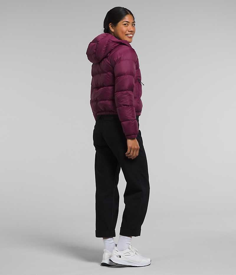 Women's The North Face Hydrenalite™ Down Jacket Fuchsia | CANADA LIRBHP