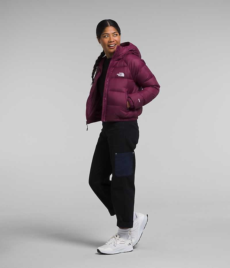 Women's The North Face Hydrenalite™ Down Jacket Fuchsia | CANADA LIRBHP