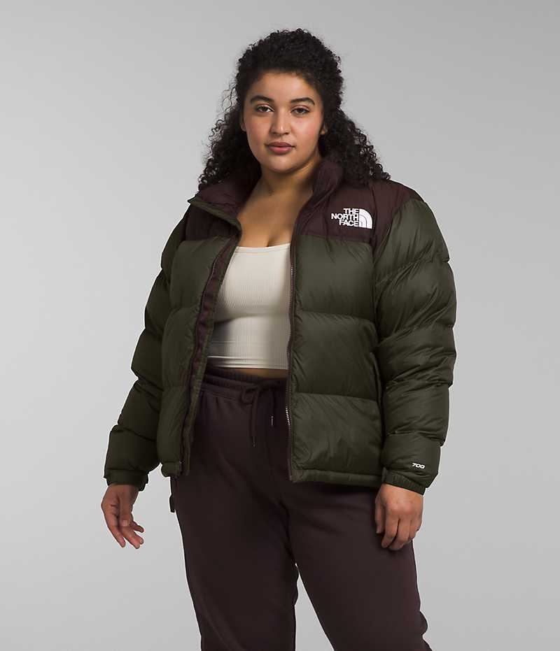 Women\'s The North Face Plus 1996 Retro Nuptse Down Jacket Green / Brown | OTTAWA NOFWED