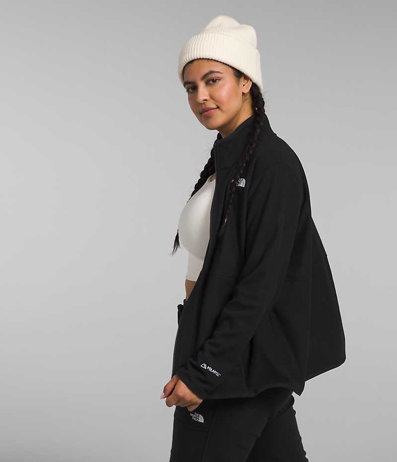 Women's The North Face Plus Alpine Polartec® 100 Fleece Jacket Black | OTTAWA WYRUFV