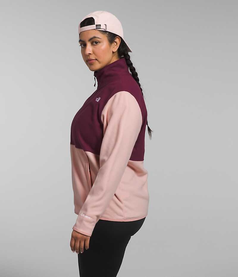 Women's The North Face Plus Alpine Polartec® 100 Fleece Jacket Pink | TORONTO GREWJB