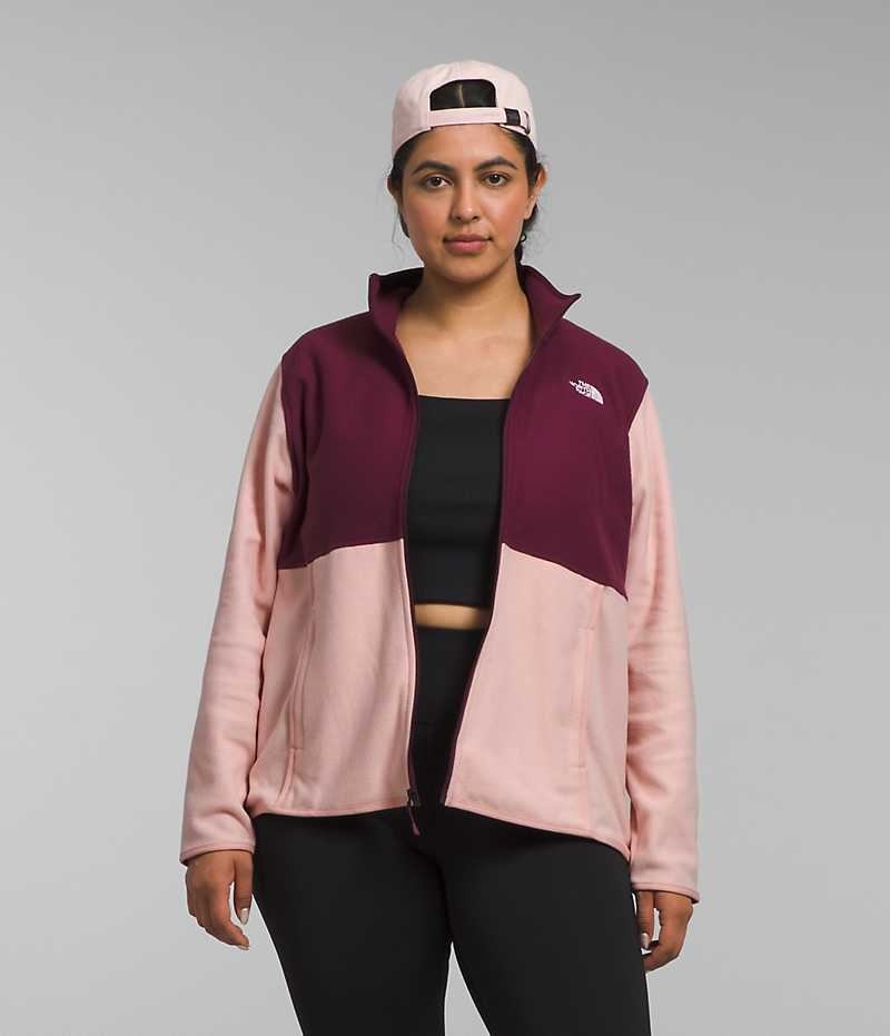 Women\'s The North Face Plus Alpine Polartec® 100 Fleece Jacket Pink | TORONTO GREWJB