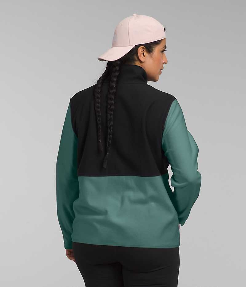 Women's The North Face Plus Alpine Polartec® 100 Fleece Jacket Black / Green | OTTAWA UVYGNT