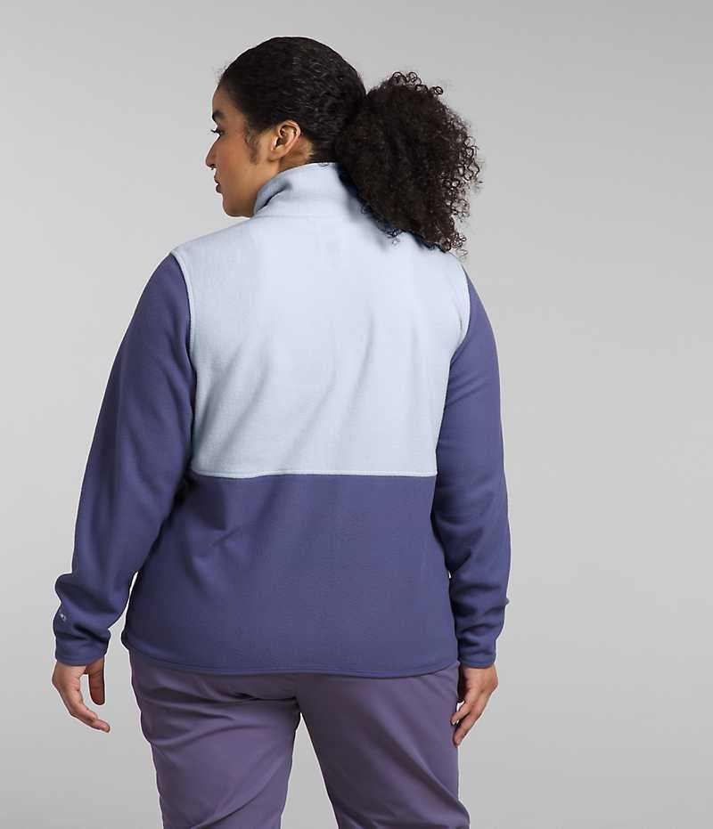 Women's The North Face Plus Alpine Polartec® 100 Fleece Jacket Blue | CANADA EWKVJB