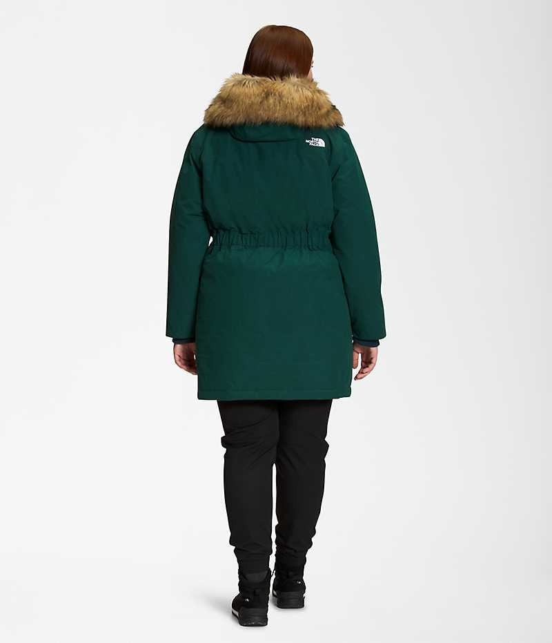 Women's The North Face Plus Arctic Parka Green | OTTAWA PTFURI