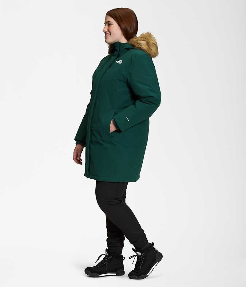 Women's The North Face Plus Arctic Parka Green | OTTAWA PTFURI