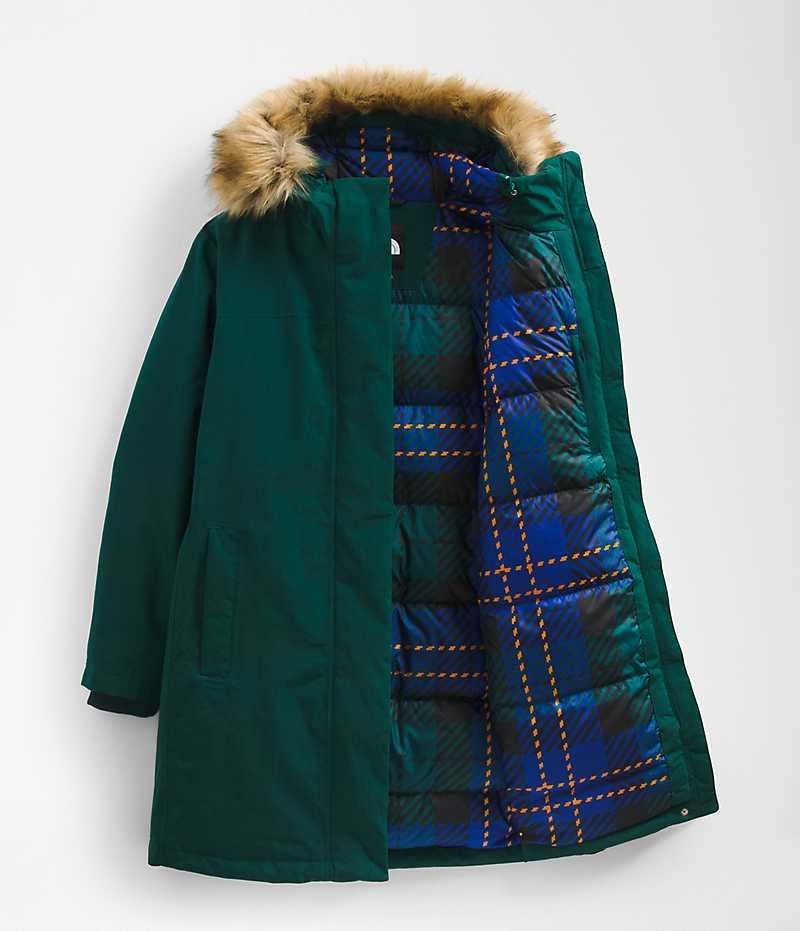 Women's The North Face Plus Arctic Parka Green | OTTAWA PTFURI