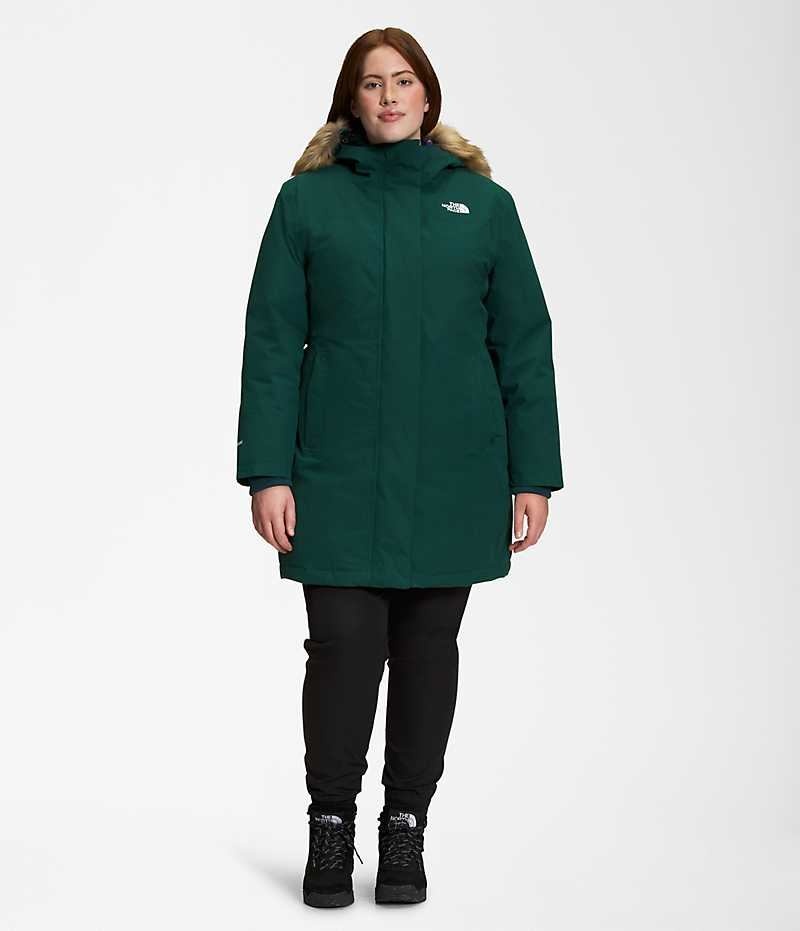 Women\'s The North Face Plus Arctic Parka Green | OTTAWA PTFURI