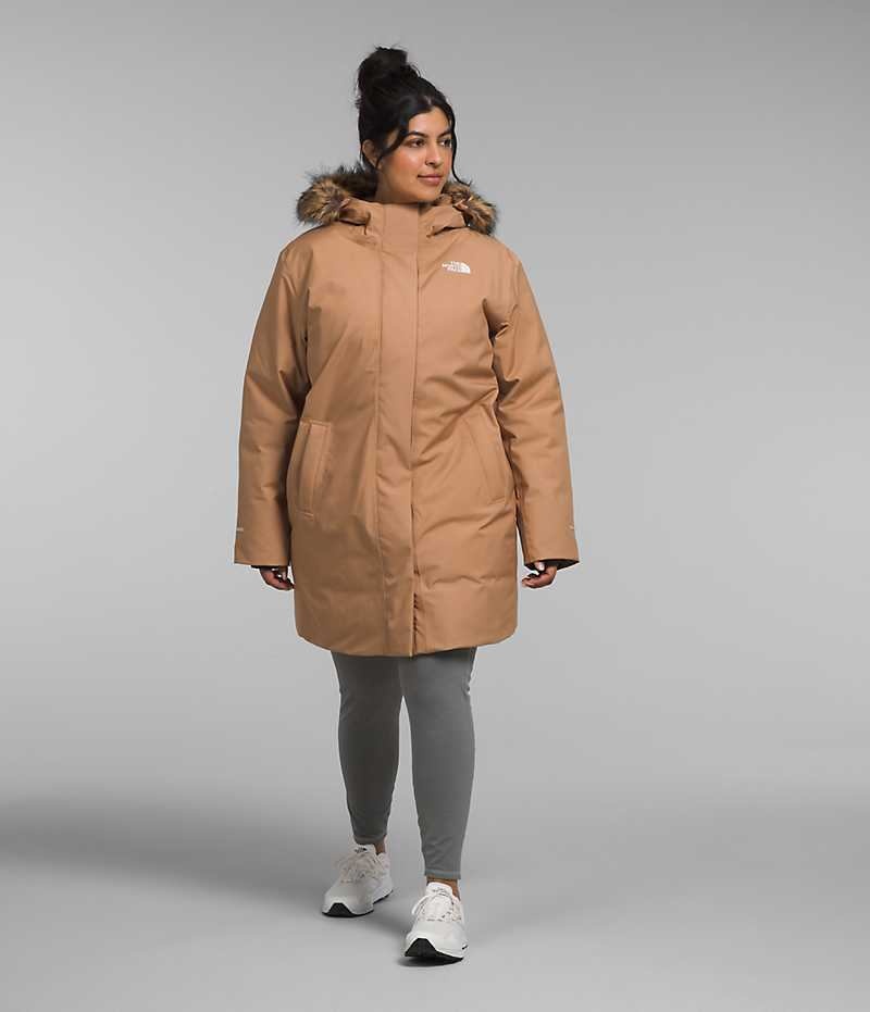 Women's The North Face Plus Arctic Parka Brown | TORONTO VRALNU