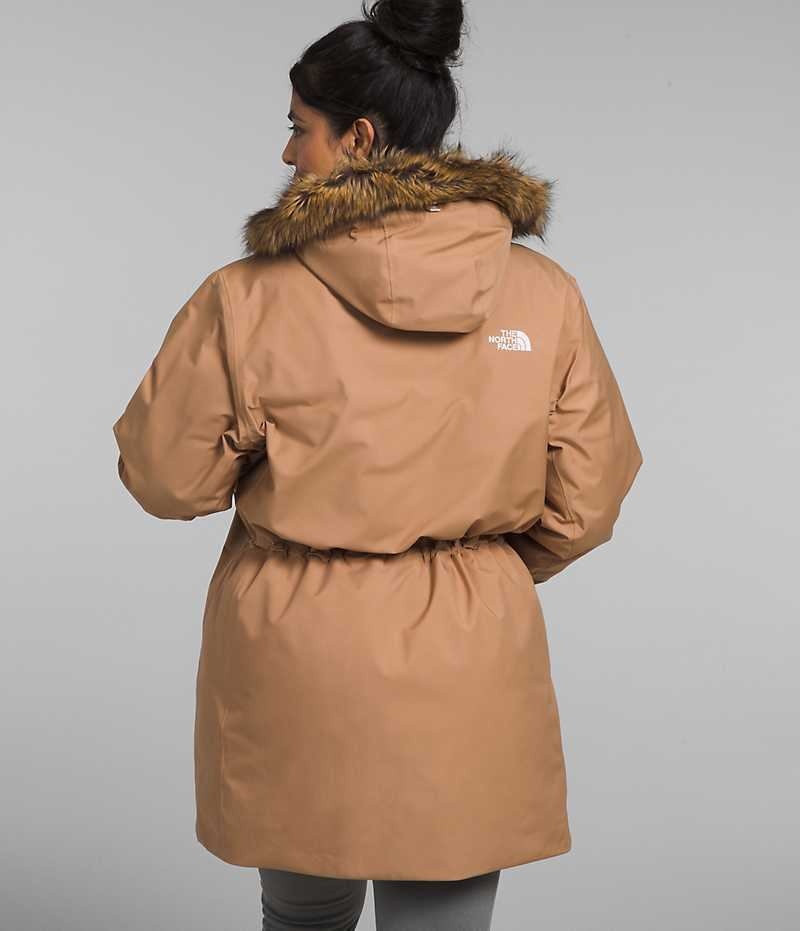 Women's The North Face Plus Arctic Parka Brown | TORONTO VRALNU