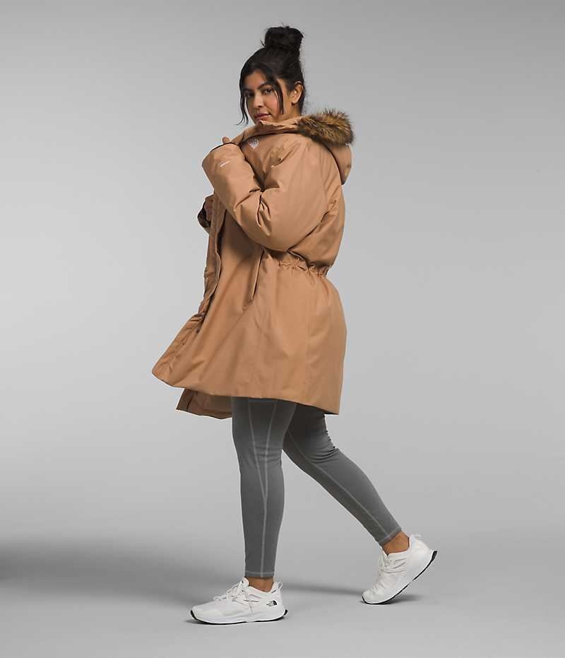 Women's The North Face Plus Arctic Parka Brown | TORONTO VRALNU