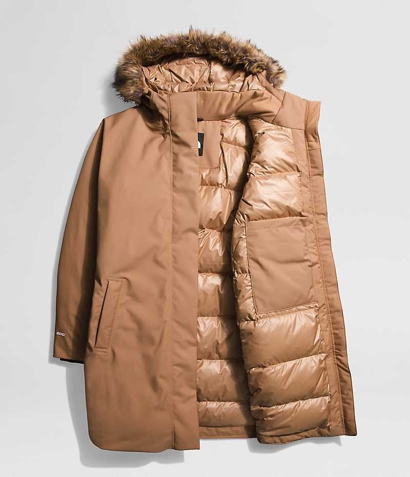 Women's The North Face Plus Arctic Parka Brown | TORONTO VRALNU