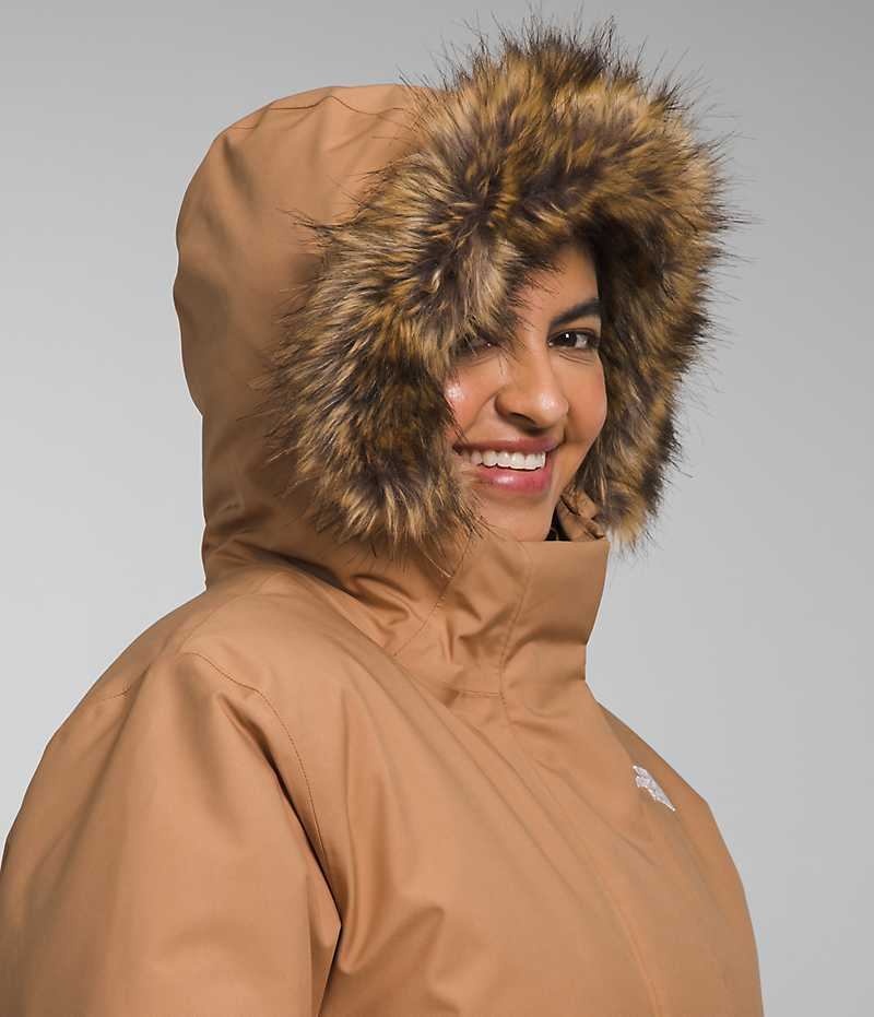 Women's The North Face Plus Arctic Parka Brown | TORONTO VRALNU