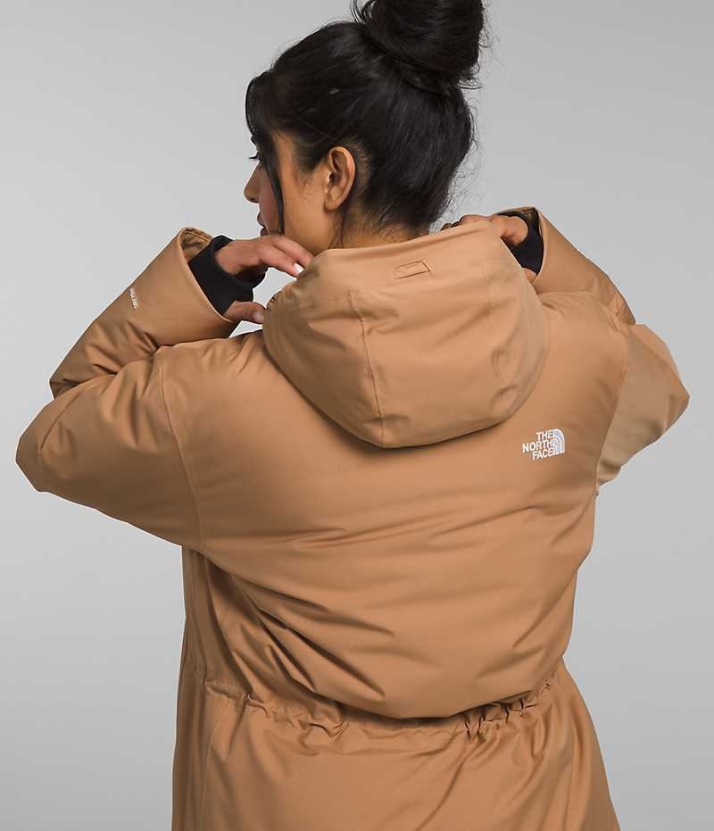 Women's The North Face Plus Arctic Parka Brown | TORONTO VRALNU