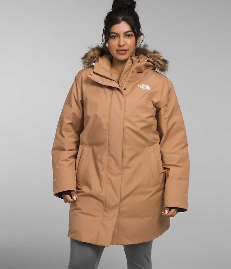 Women\'s The North Face Plus Arctic Parka Brown | TORONTO VRALNU