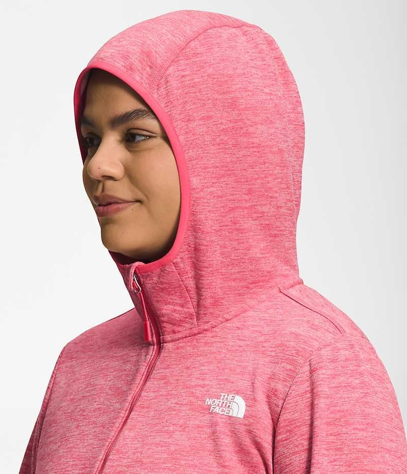 Women's The North Face Plus Canyonlands Hoodie Fleece Jacket Pink | OTTAWA XBDUEN