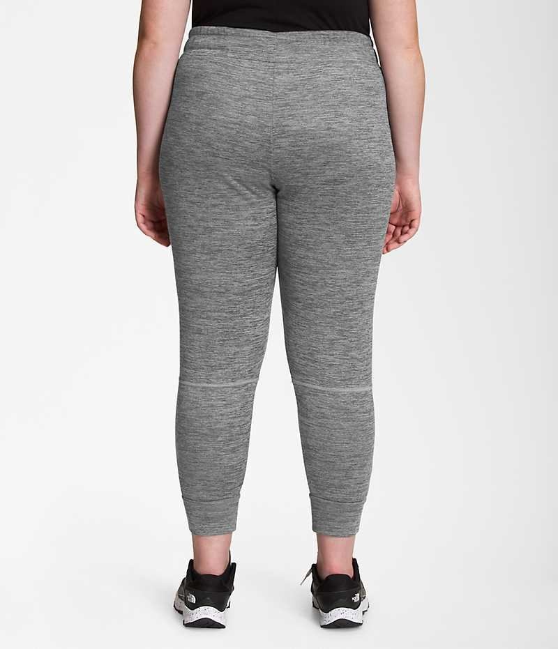 Women's The North Face Plus Canyonlands Jogger Grey | CANADA SYWEJQ