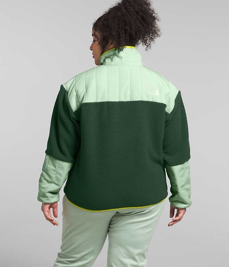 Women's The North Face Plus Cragmont Fleece ¼-Snap Pullover Green | CANADA TYJQNO