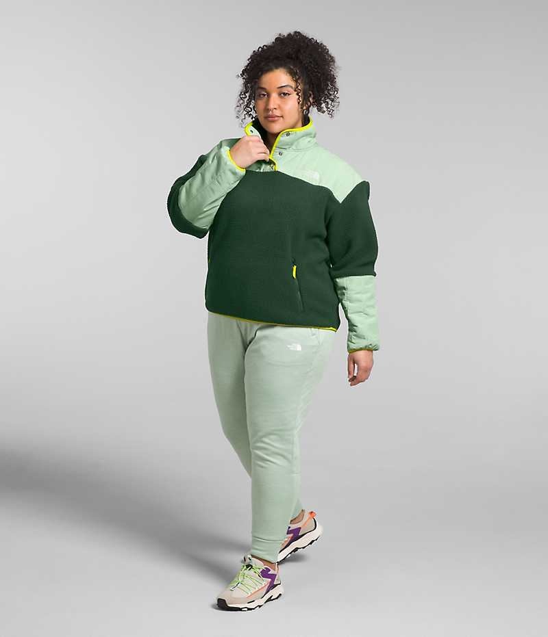 Women's The North Face Plus Cragmont Fleece ¼-Snap Pullover Green | CANADA TYJQNO