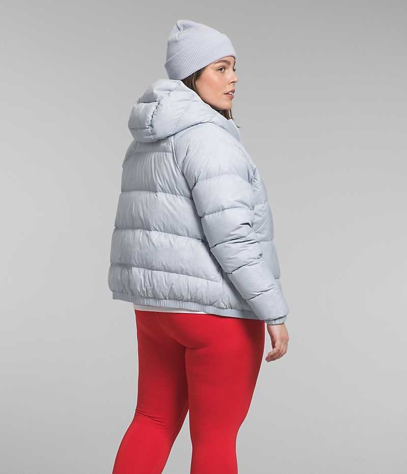 Women's The North Face Plus Hydrenalite™ Hoodie Down Jacket Grey | OTTAWA KBTPHM