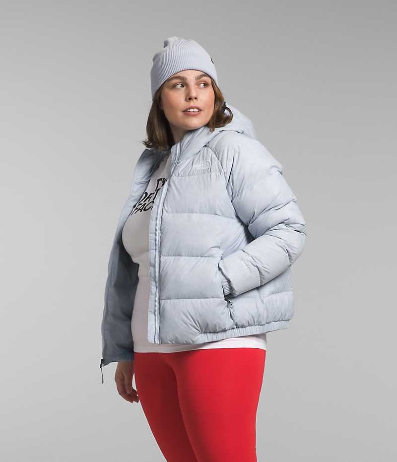 Women's The North Face Plus Hydrenalite™ Hoodie Down Jacket Grey | OTTAWA KBTPHM