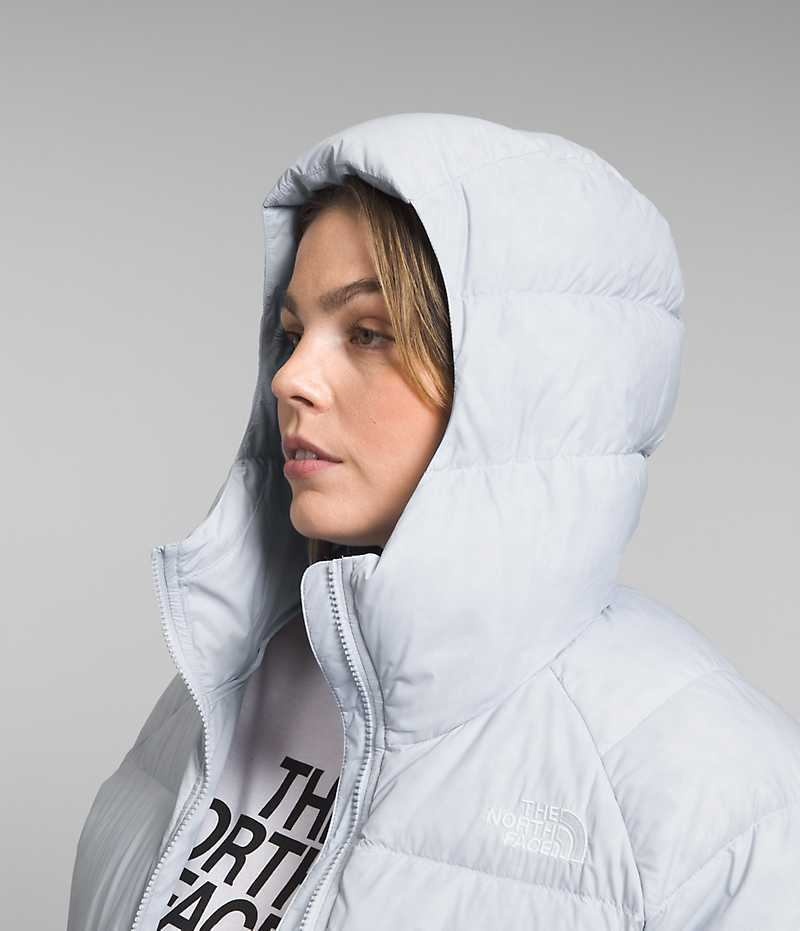 Women's The North Face Plus Hydrenalite™ Hoodie Down Jacket Grey | OTTAWA KBTPHM