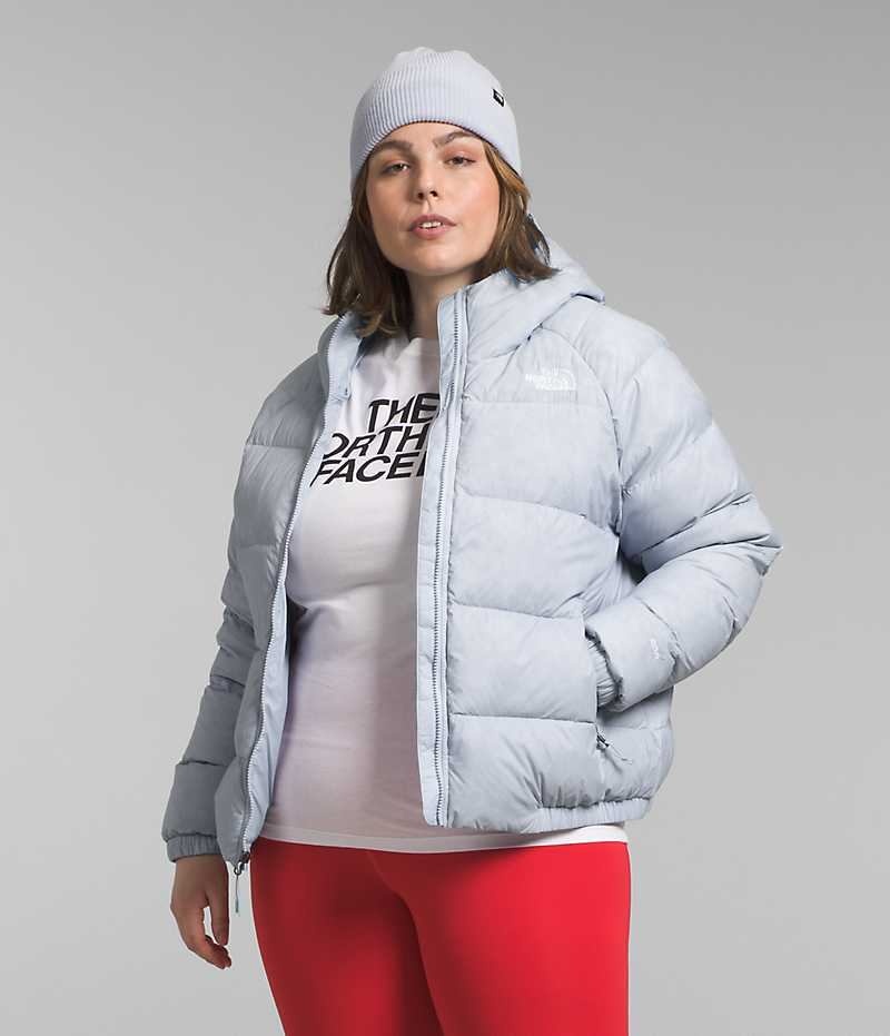 Women\'s The North Face Plus Hydrenalite™ Hoodie Down Jacket Grey | OTTAWA KBTPHM