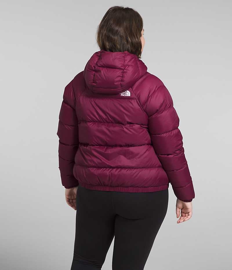 Women's The North Face Plus Hydrenalite™ Hoodie Down Jacket Red | TORONTO GXEAPI