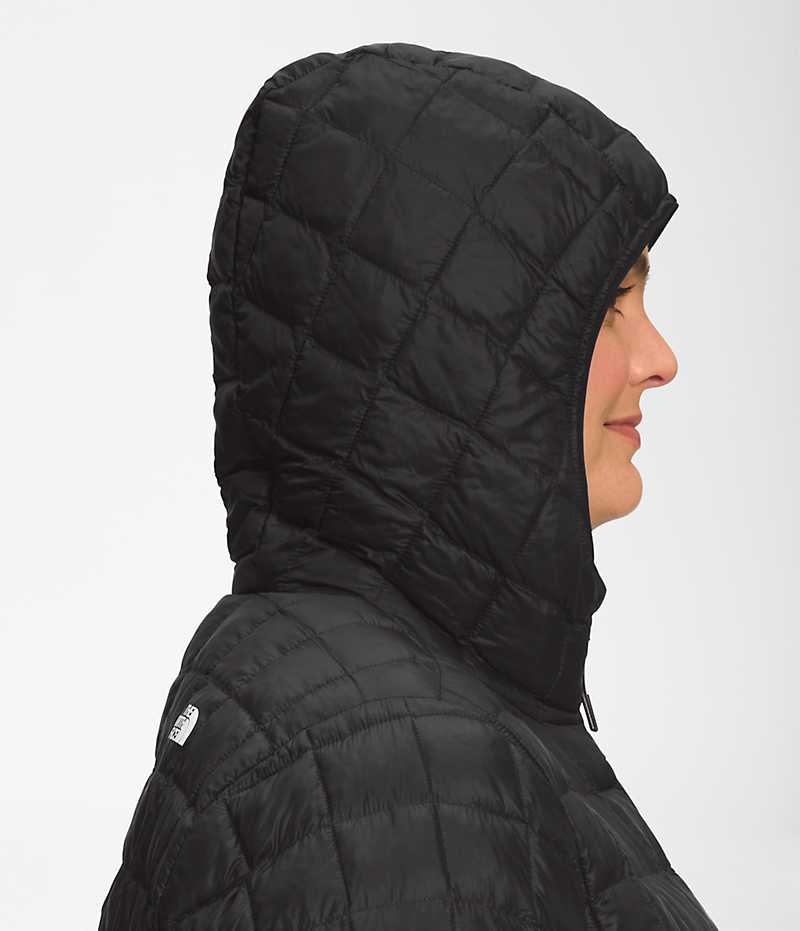 Women's The North Face Plus ThermoBall™ Eco Parka Black | OTTAWA SJQDVY