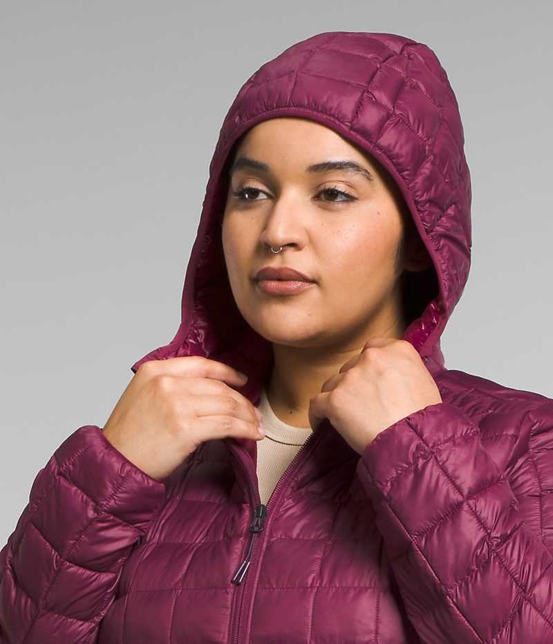 Women's The North Face Plus ThermoBall™ Eco Parka Red | CANADA LAKVEI