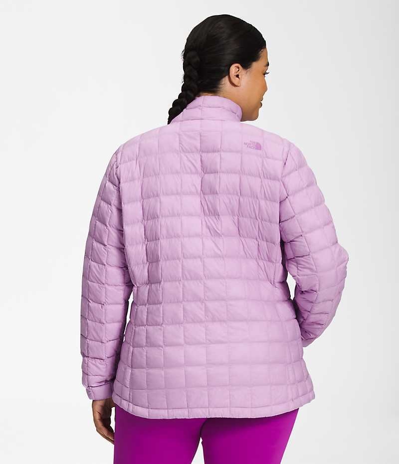 Women's The North Face Plus ThermoBall™ Eco 2.0 Down Jacket Lavender | CANADA ZDXVJT