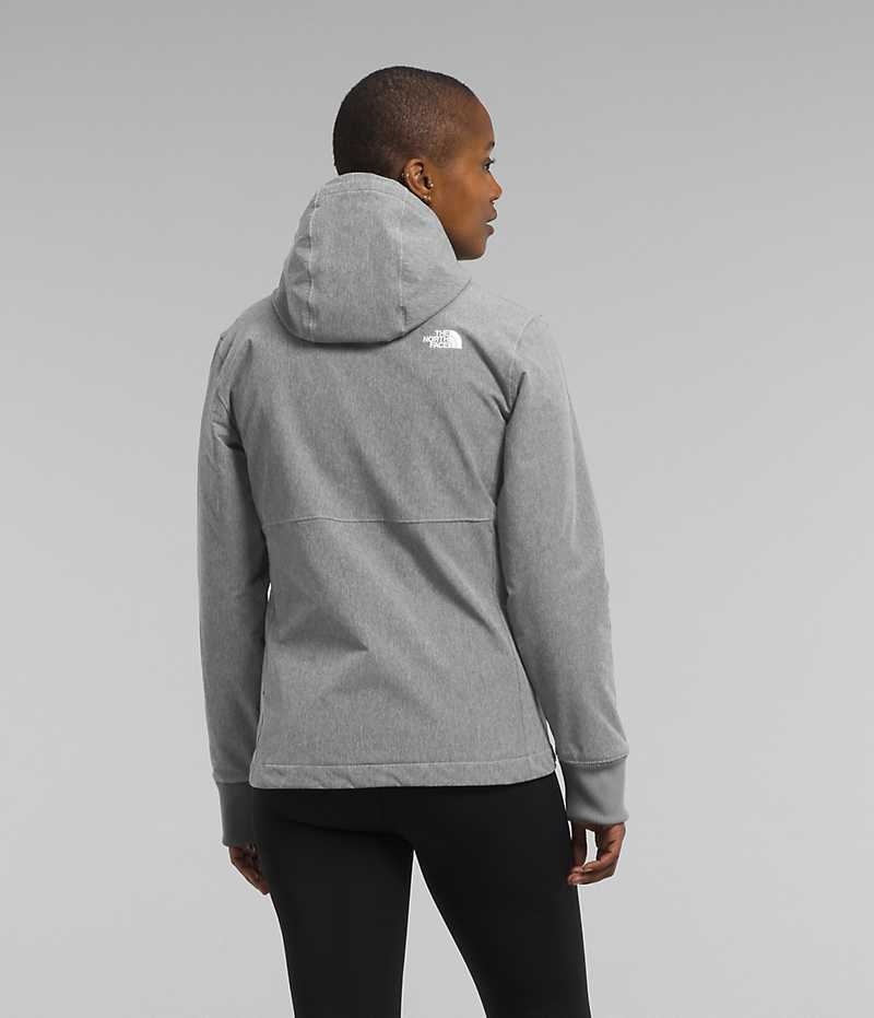 Women's The North Face Shelbe Raschel Hoodie Softshell Jacket Grey | TORONTO LHDWGU