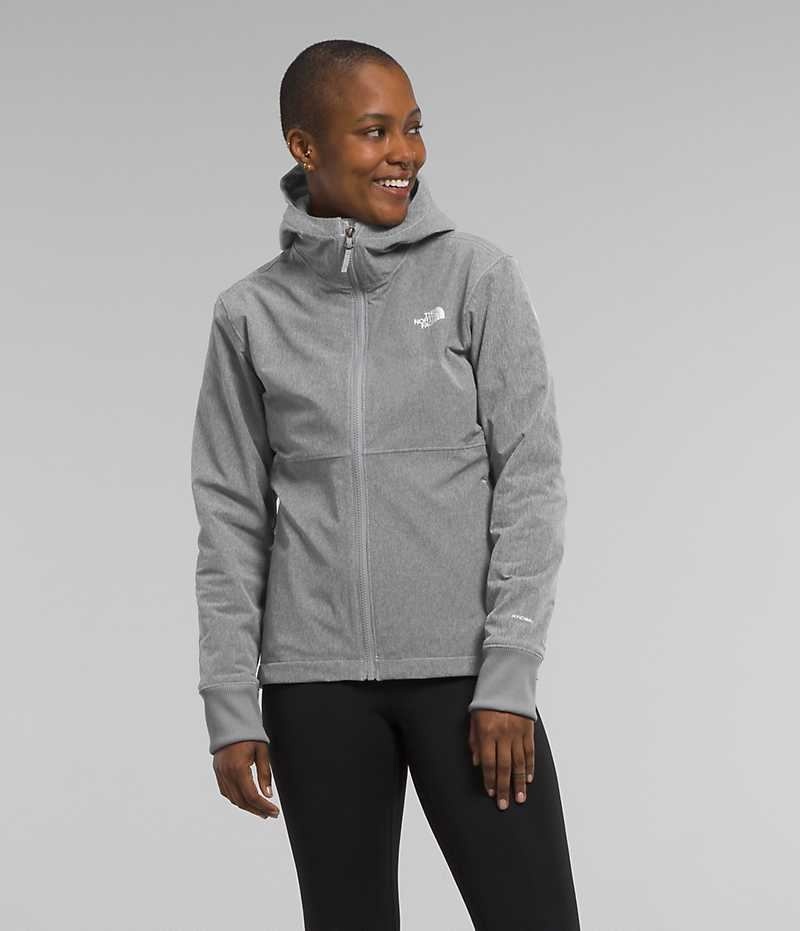 Women\'s The North Face Shelbe Raschel Hoodie Softshell Jacket Grey | TORONTO LHDWGU