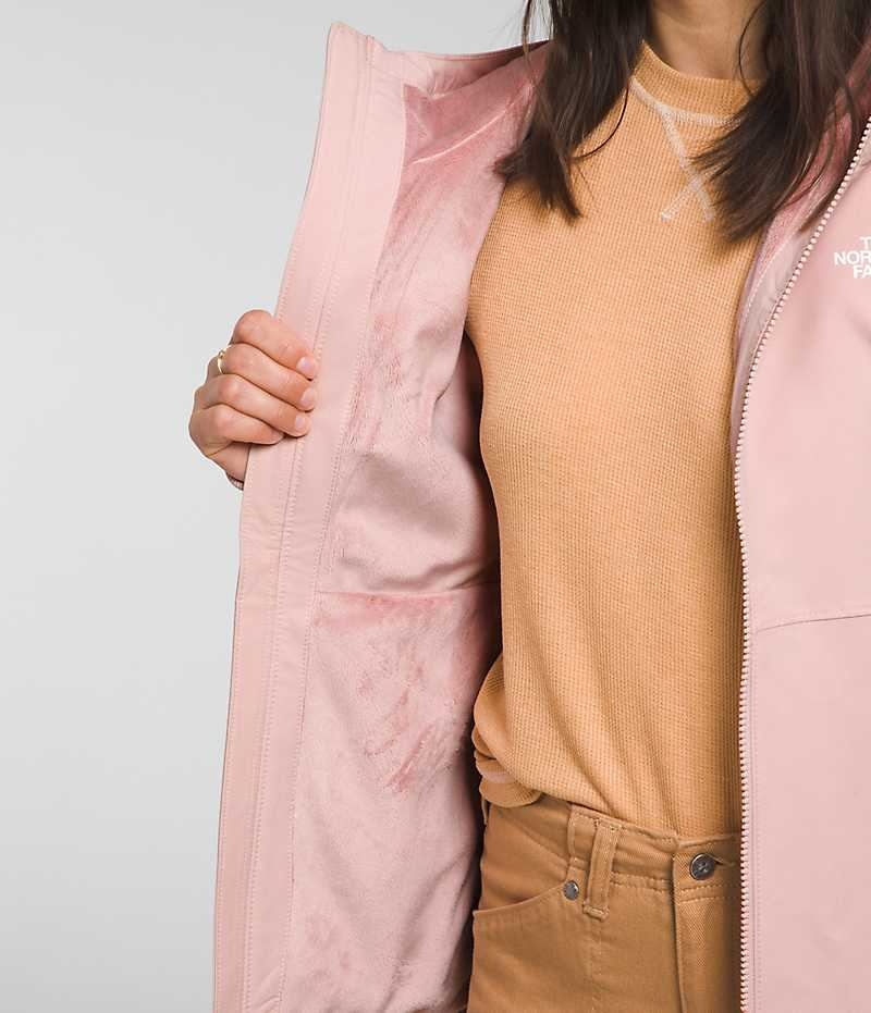 Women's The North Face Shelbe Raschel Hoodie Softshell Jacket Pink | OTTAWA ENZJXG