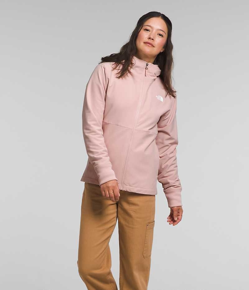 Women\'s The North Face Shelbe Raschel Hoodie Softshell Jacket Pink | OTTAWA ENZJXG