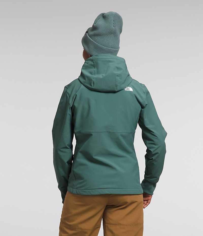 Women's The North Face Shelbe Raschel Hoodie Softshell Jacket Green | CANADA RJXKDL