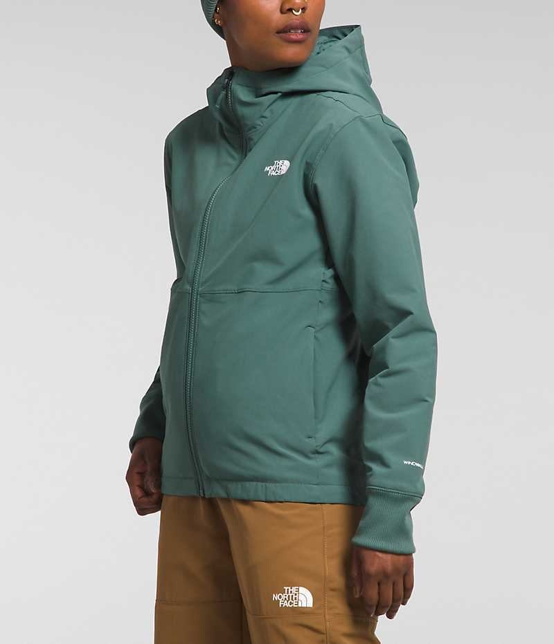 Women's The North Face Shelbe Raschel Hoodie Softshell Jacket Green | CANADA RJXKDL