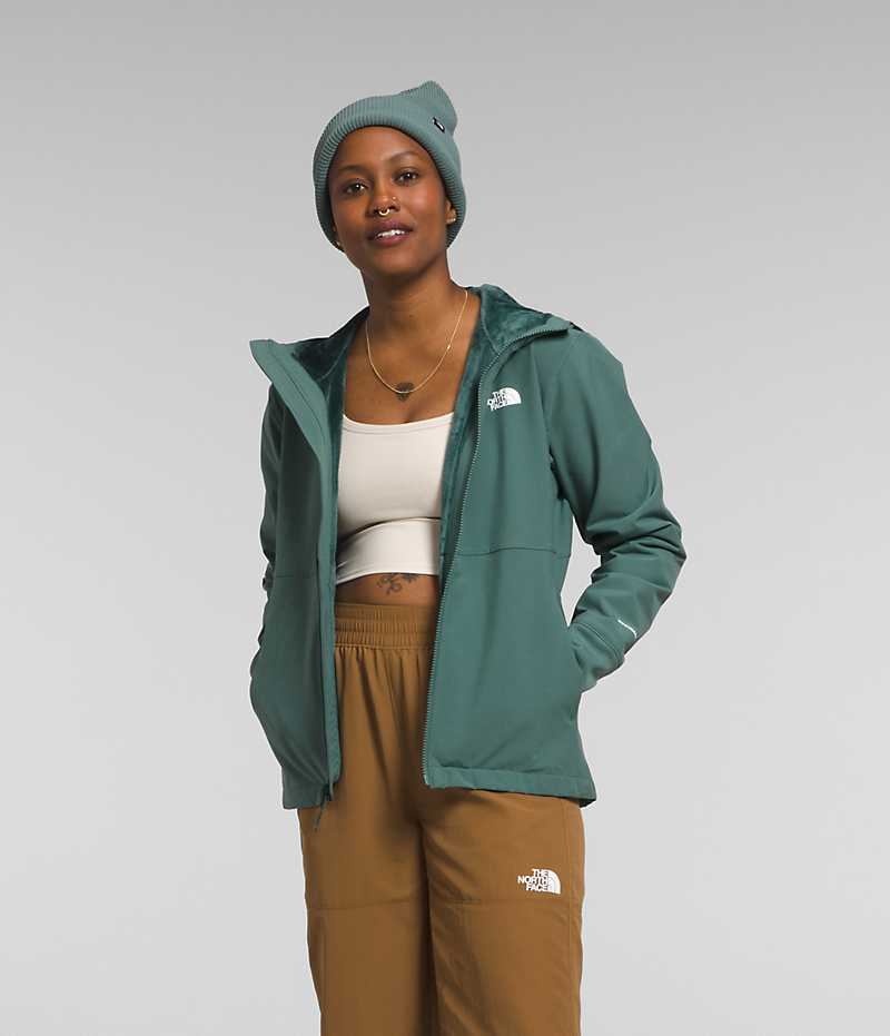 Women\'s The North Face Shelbe Raschel Hoodie Softshell Jacket Green | CANADA RJXKDL