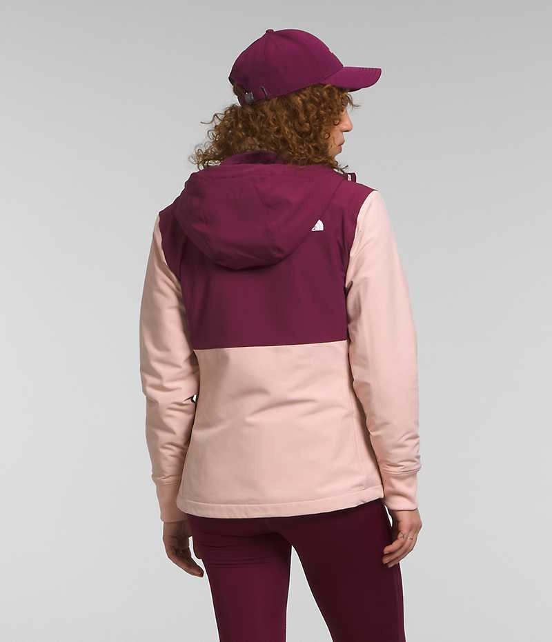 Women's The North Face Shelbe Raschel Hoodie Softshell Jacket Pink | CANADA DHBVEY