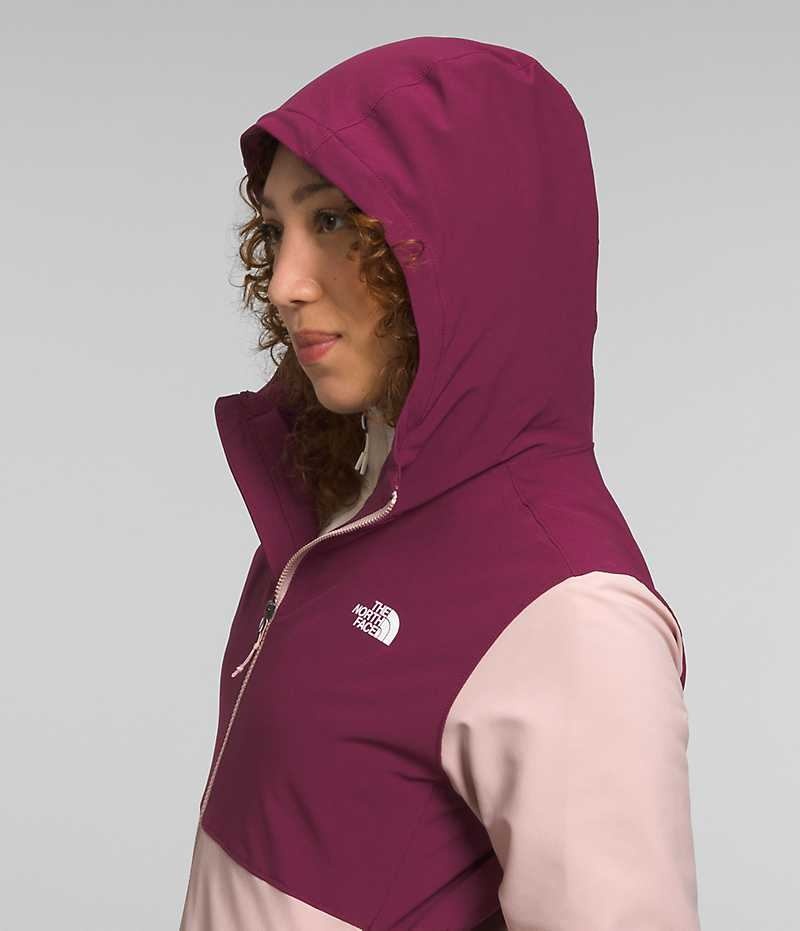 Women's The North Face Shelbe Raschel Hoodie Softshell Jacket Pink | CANADA DHBVEY