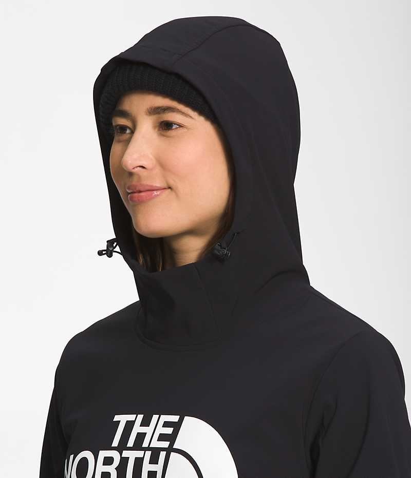 Women's The North Face Tekno Pullover Hoodie Black | OTTAWA RWAOTF